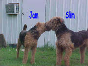 jamslim7_24_04.jpg